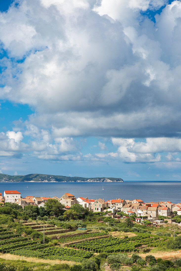 View of Komiza village and its bay , Komiza, Vis, Vis Island, Split-Dalmatia county, Dalmatia region, Croatia, Europe