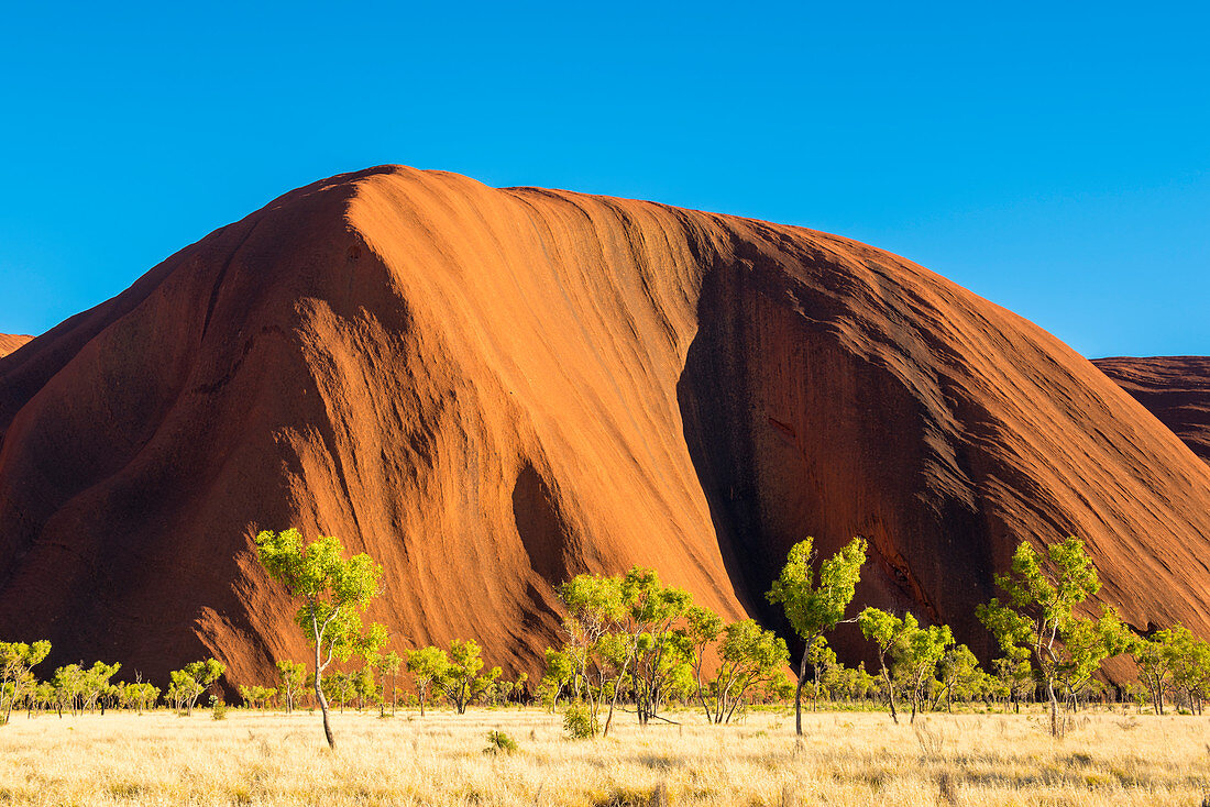 Uluru, Ayers Rock, Uluru-Kata Tjuta Nationalpark, Northern Territory, Zentralaustralien, Australien