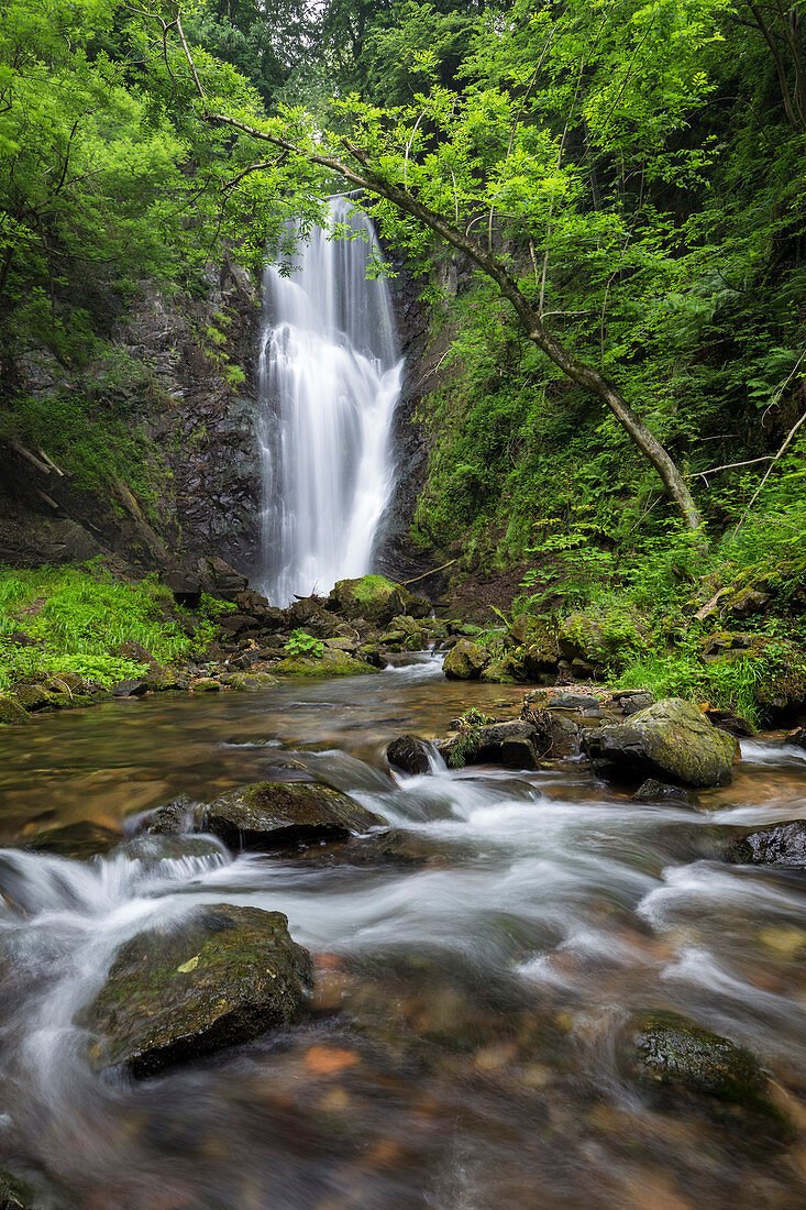 The waterfall called Pesegh or Pesech, created by the torrent Valmolina in Brinzio, Valcuvia, Parco del Campo dei Fiori, Varese district, Lombardy, Italy