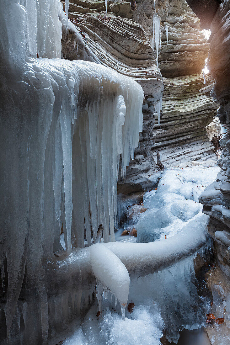 Europe, Italy, Veneto, Belluno,  The gorge of Brent de l'art in winter, Sant'Antonio di Tortal, municipality of Trichiana