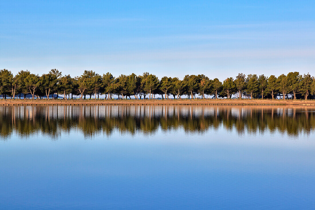 Europe, Slovenia, Istria,  Reflection on the water of the Stunjan saltpans