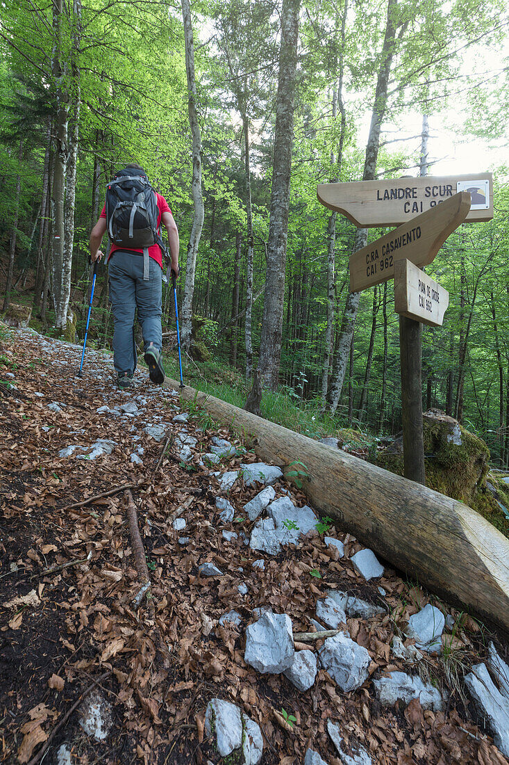 Europe, Italy, Friuli Venezia Giulia, Claut, province of Pordenone,  Hiker walking on the path to Landre Scur cave