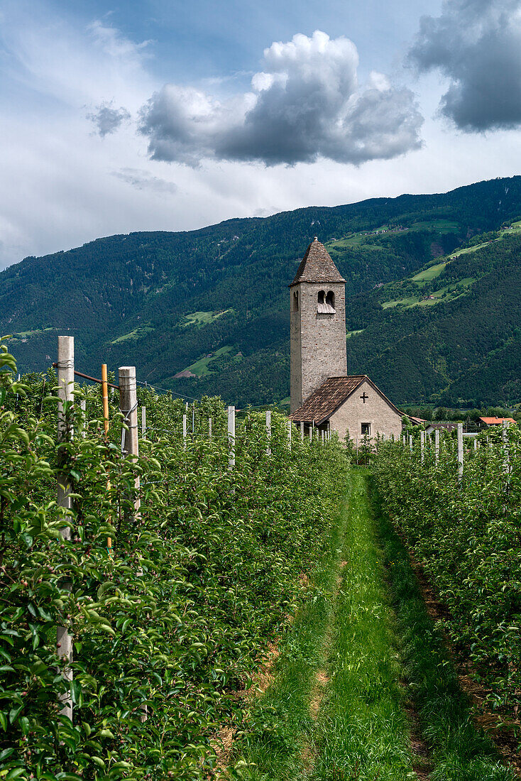 Naturno, Naturns, Bolzano province, South Tyrol, Italy,  The Prokulus church