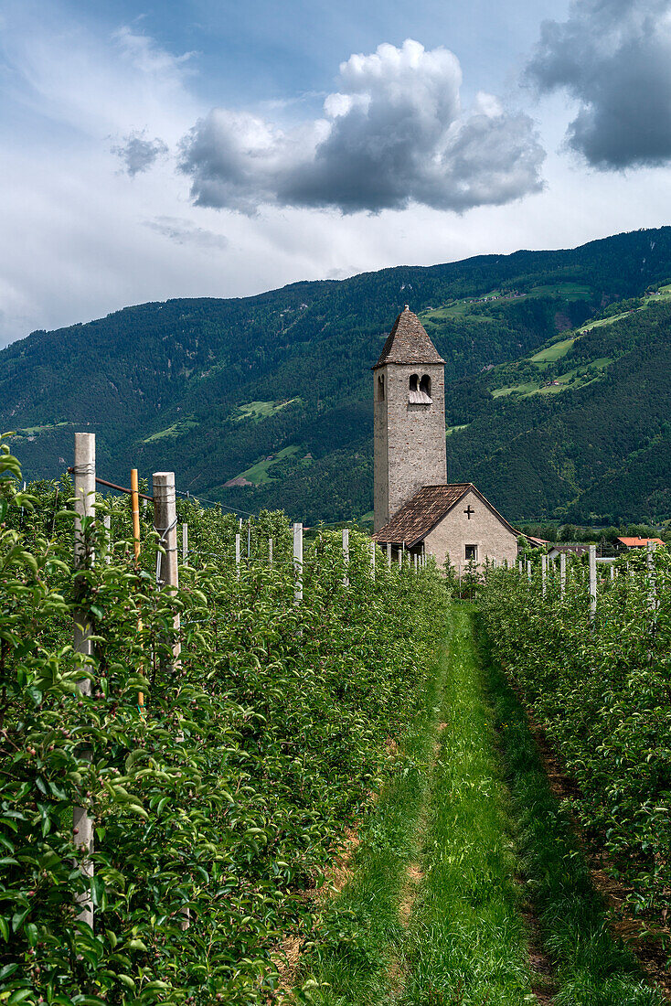 Naturns, Naturns, Provinz Bozen, Südtirol, Italien, Die Prokuluskirche