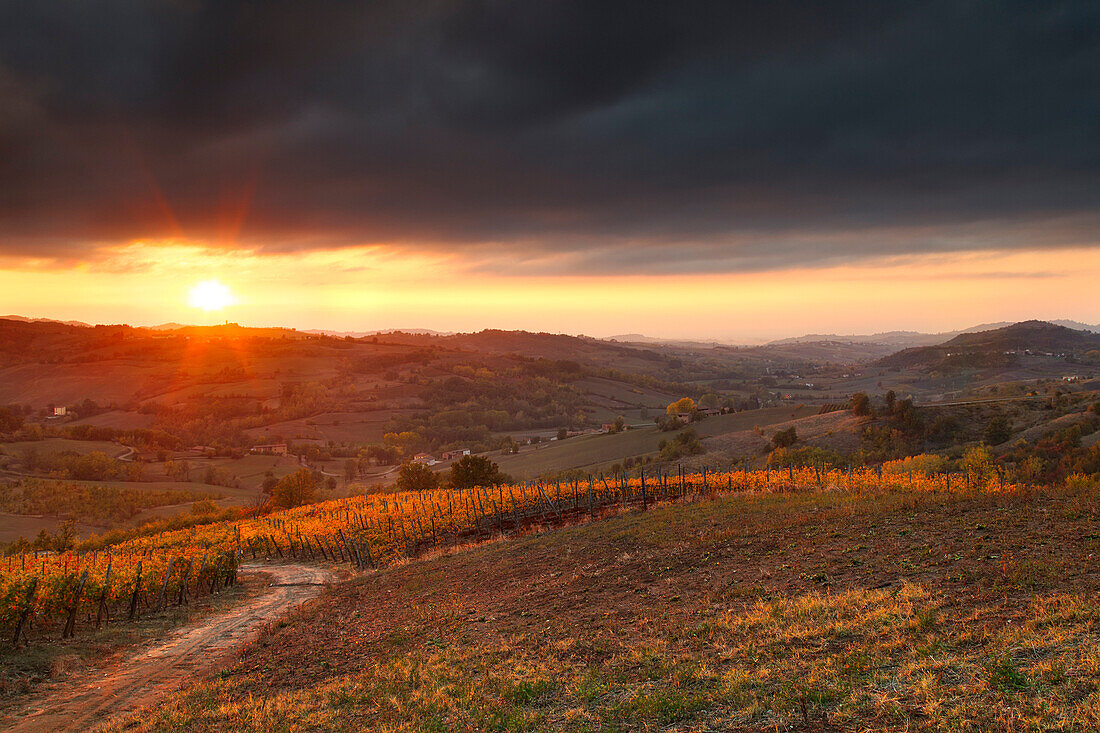 Tortona Hügel, Provinz Alessandria, Piemont, Italien, Europa