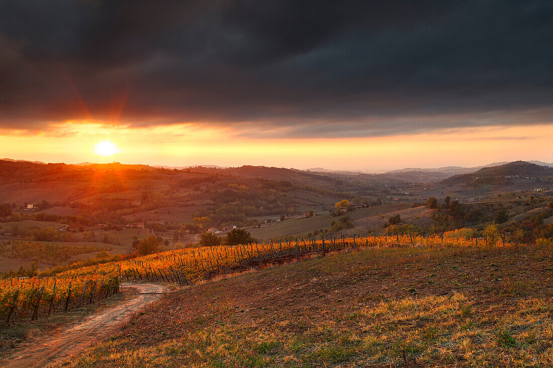 Tortona hills, Alessandria province, Piedmont, Italy, Europe