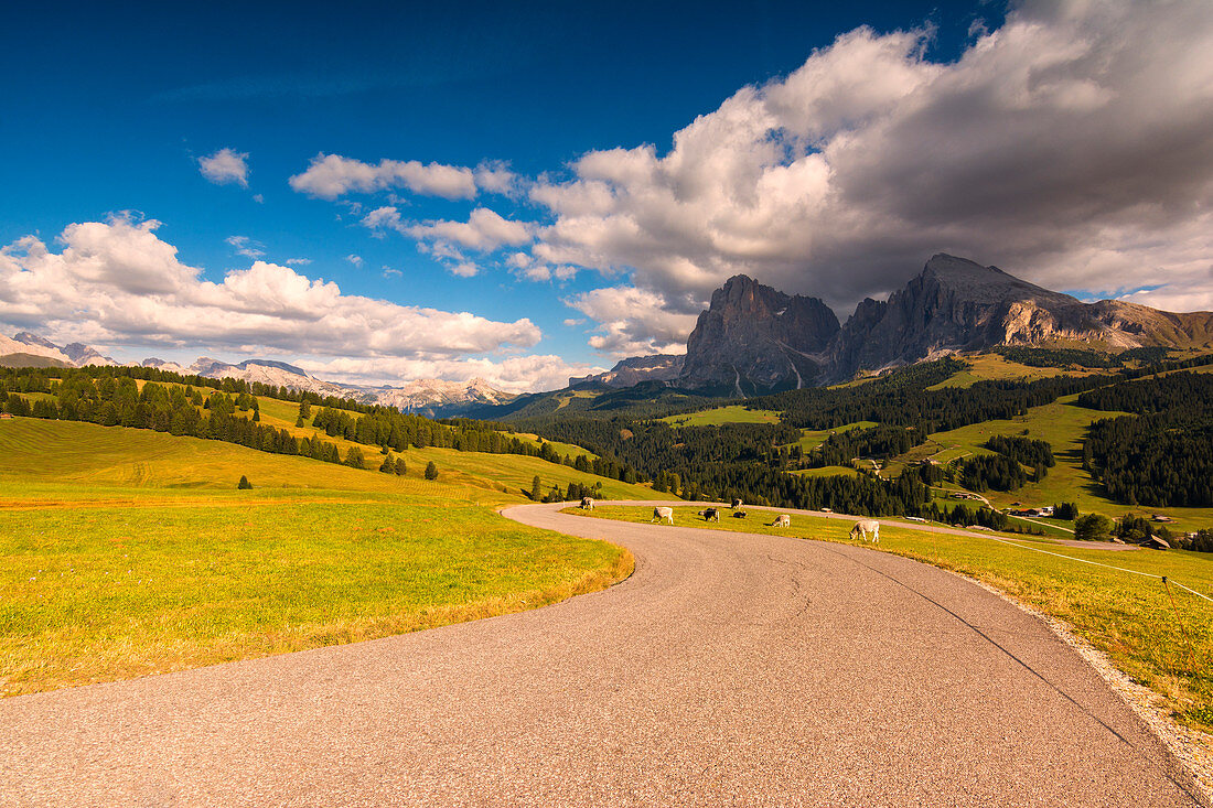 Seiser Alm, Bolzano province, trentino ALto Adige district, Italy, Europe