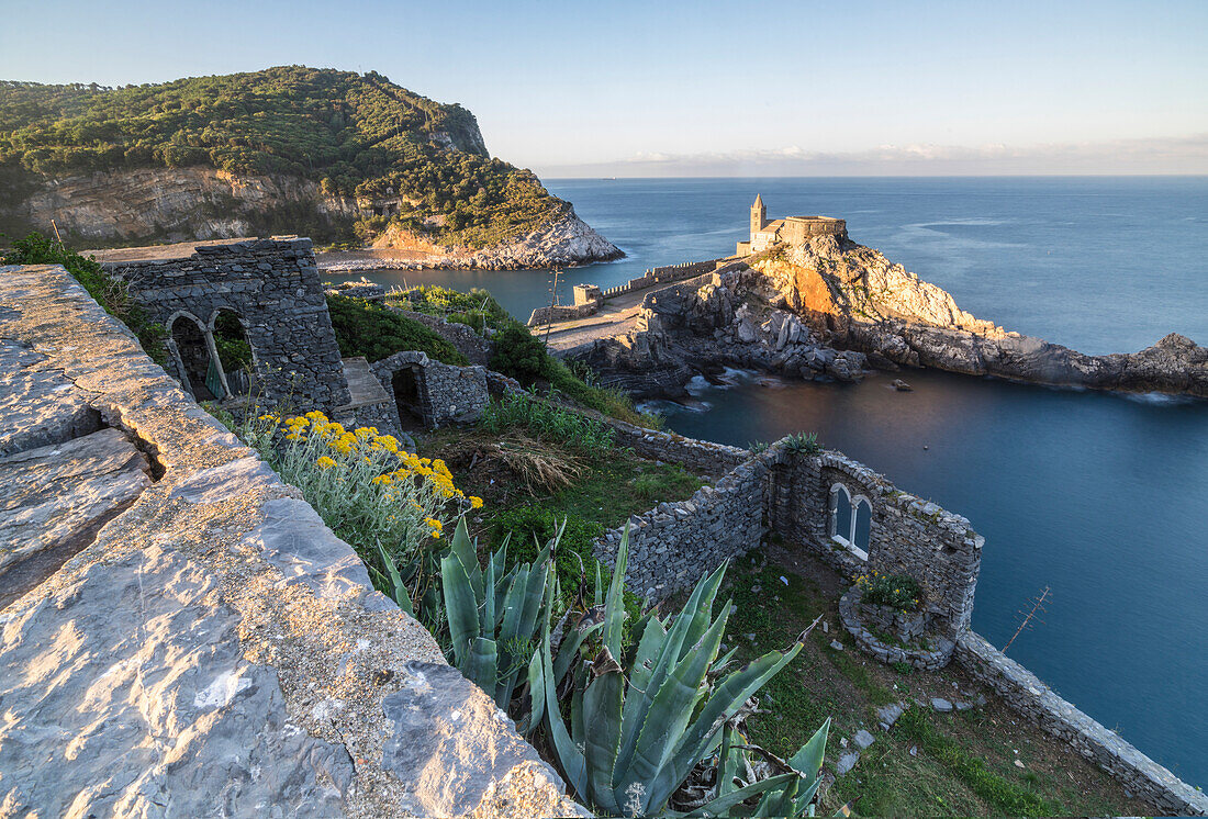 Flowers and blue sea frame the old castle and church at dawn Portovenere province of La Spezia Liguria Italy Europe