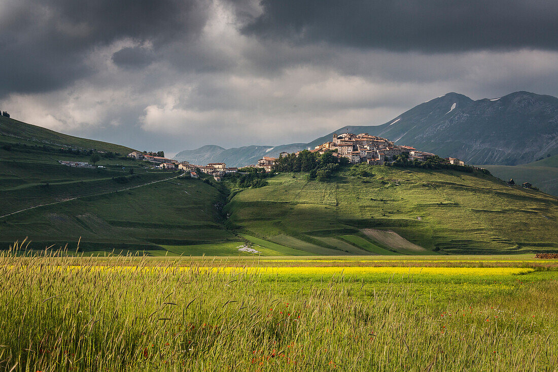 Green fields of ears of corn frame the medieval village Castelluccio di Norcia Province of Perugia Umbria Italy Europe