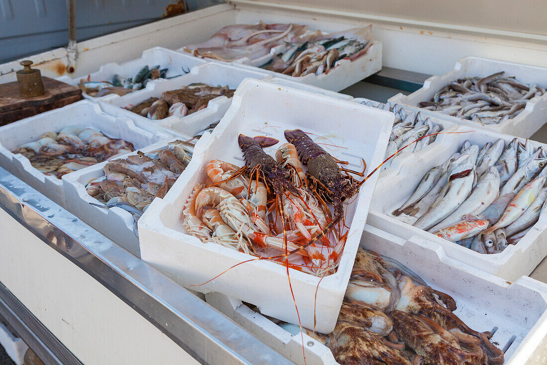 Fischmarkt am Hafen der Seestadt Licata Provinz Agrigent Sizilien Italien Europa