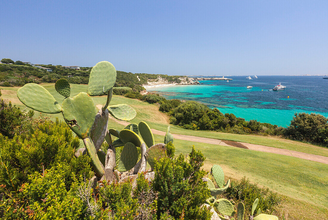 Prickly pears and green meadows of golf course  frame the turquoise sea Sperone Bonifacio South Corsica France Europe