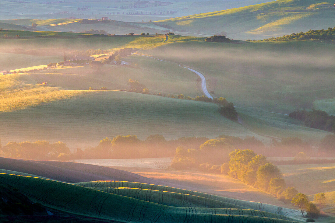 Toskanischer Hügel im Morgengrauen - San Quirico d'Orcia, Provinz Siena, Toskana, Val d'Orcia, Italien, Europa