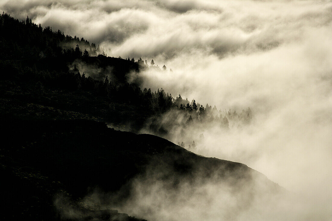 Silhouette Of Mountain Top Amongst Clouds In Teide National Park