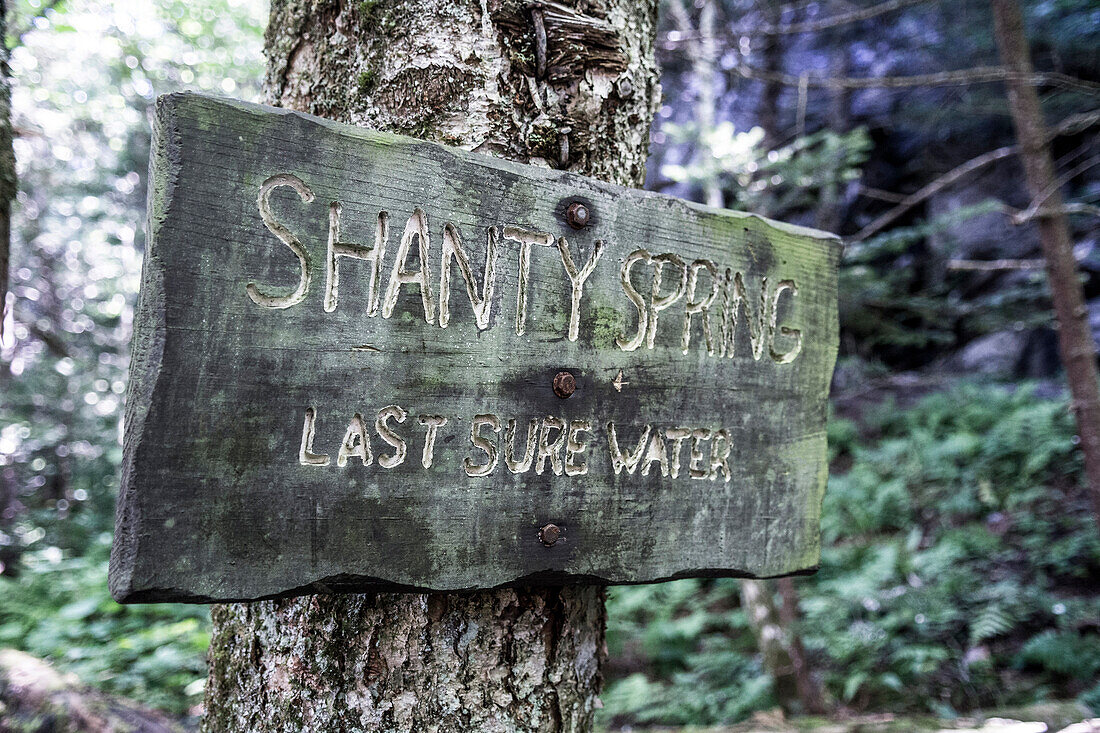 Shanty Spring Sign Along The Profile Trail, Grandfather Mountain State Park In North Carolina