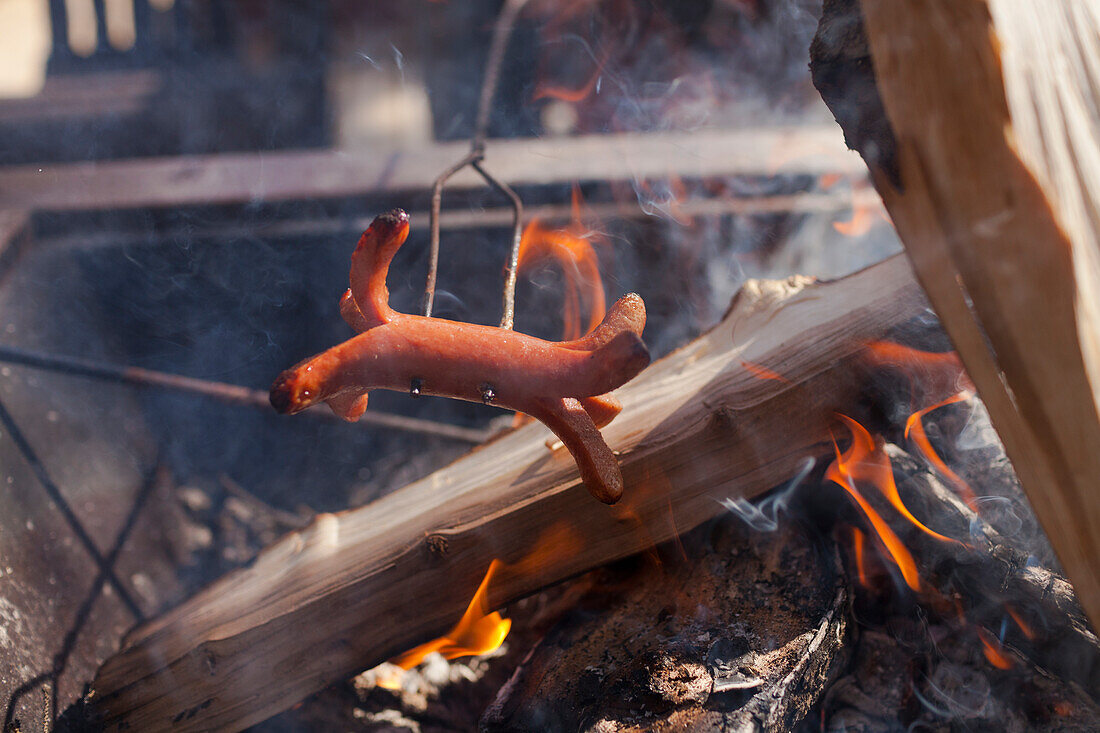 Close-up Of A Spiderdog Cooking Over A Campfire