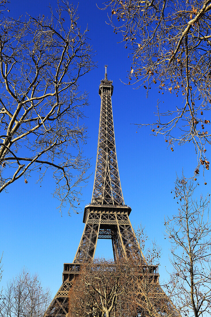 Eiffel Tower, Paris, Ile de France, France, Europe