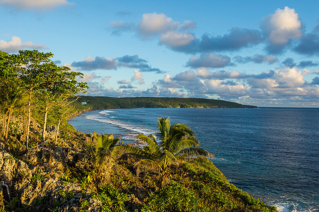 View over the coastline of Niue, South Pacific, Pacific