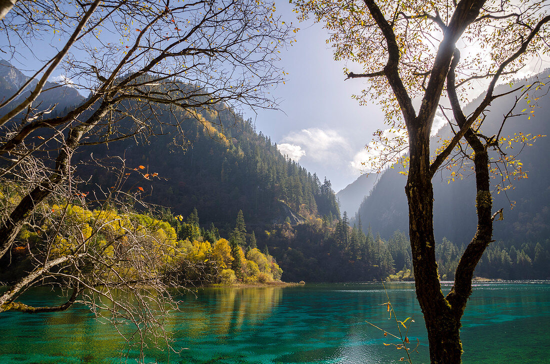 Five Flower Lake, Jiuzhaigou (Nine Village Valley), UNESCO World Heritage Site, Sichuan province, China, Asia
