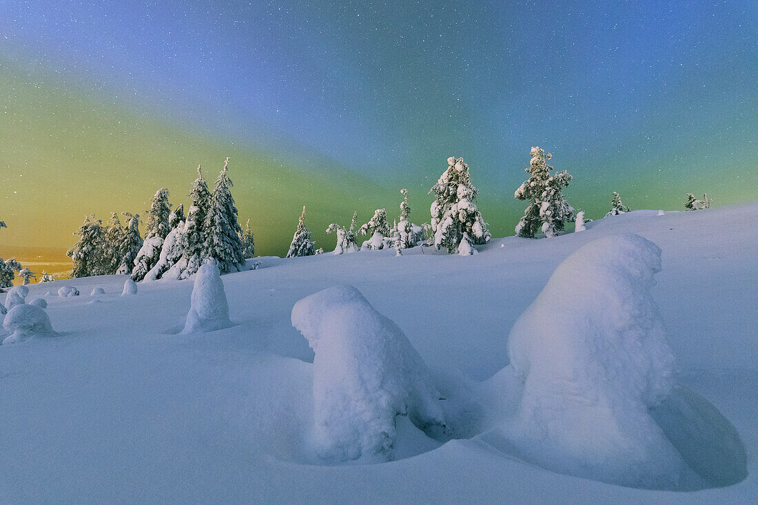 Colorful Northern Lights of the Aurora Borealis and starry sky on the snowy woods, Ruka, Kuusamo, Ostrobothnia region, Lapland, Finland, Europe