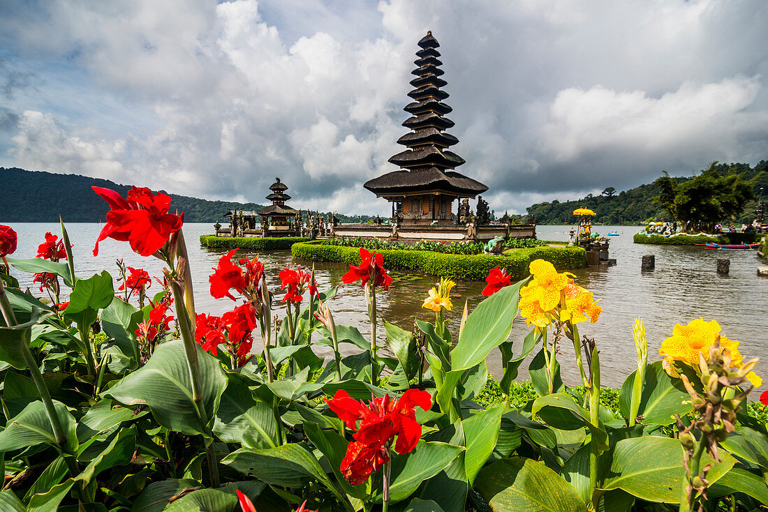 Blooming flowers before the Pura Ulun Danu Bratan temple, Bali, Indonesia, Southeast Asia, Asia