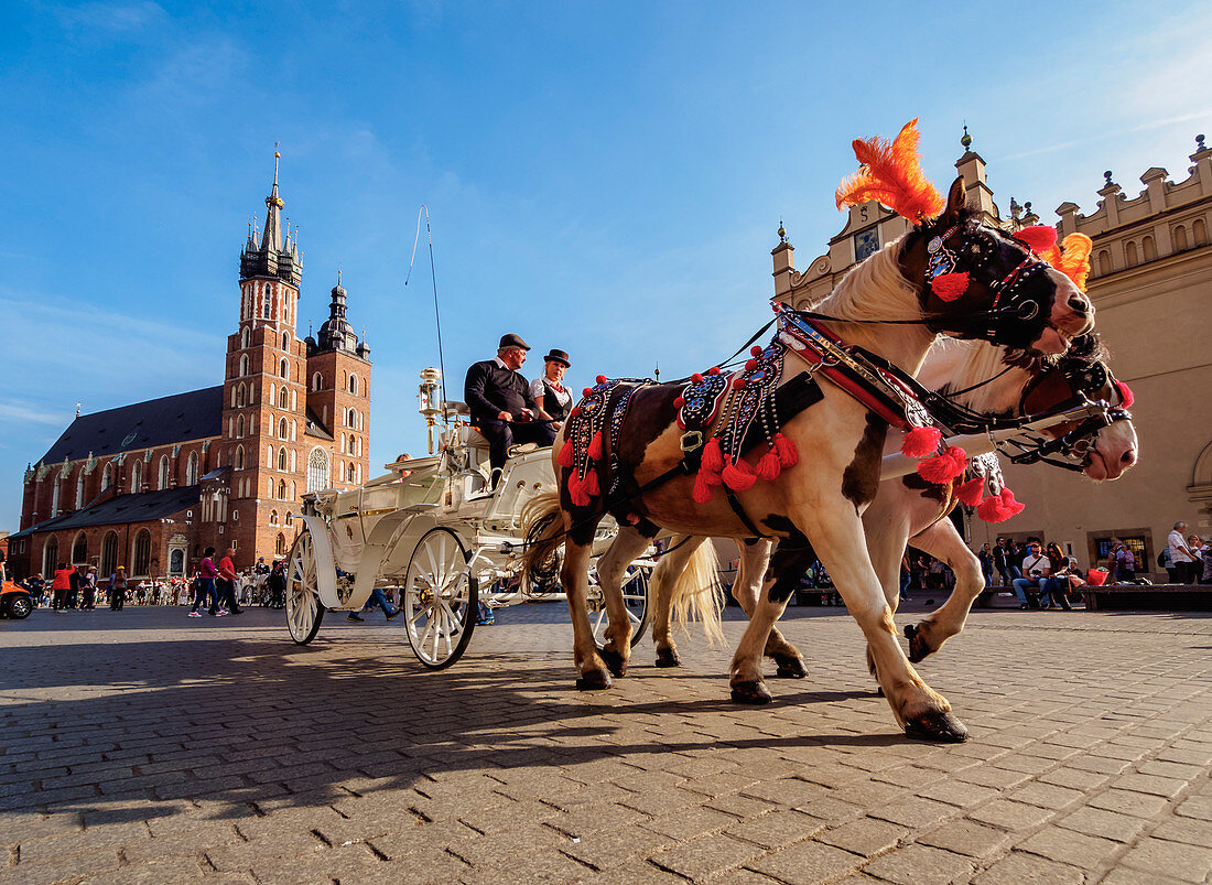 Horse Carriage with St. Mary Basilica in the background, Main Market Square, Cracow, Lesser Poland Voivodeship, Poland, Europe