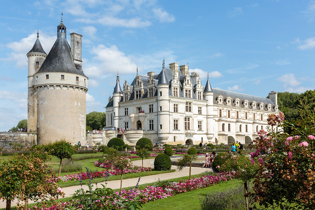 Summer flowers in the park of Chenonceau castle, UNESCO World Heritage Site, Chenonceaux, Indre-et-Loire, Centre, France, Europe