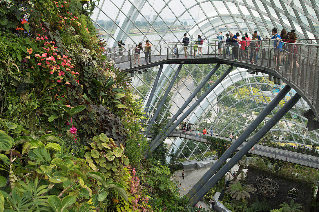 Cloud Forest greenhouse in Gardens by the Bay, Singapore, Southeast Asia, Asia