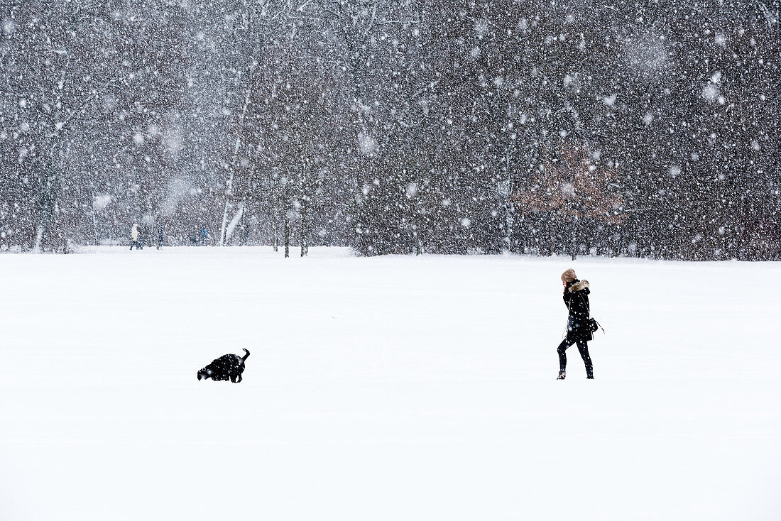 Frau führt ihren Hund während Schneefall spazieren, Englischer Garten, München, Deutschland