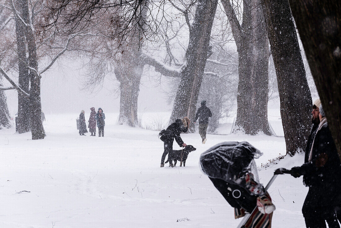 Spaziergang unter den Bäumen bei Schneefall an einem Sonntag Nachmittag, Englischer Garten, München, Deutschland