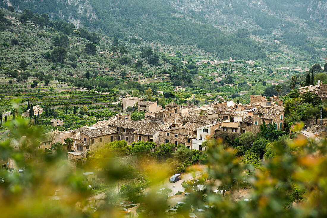 Bergdorf mit Citrusplantagen, Fornalutx, Serra de Tramuntana, Mallorca, Balearen, Spanien