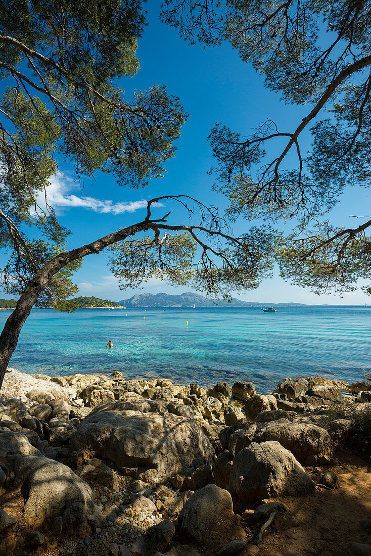 Platja Formentor, Cap Formentor, Port de Pollenca, Serra de Tramuntana, Majorca, Balearic Islands, Spain