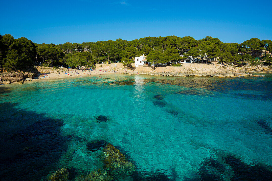 Cala Gat, Cala Rajada, Mallorca, Balearen, Spanien