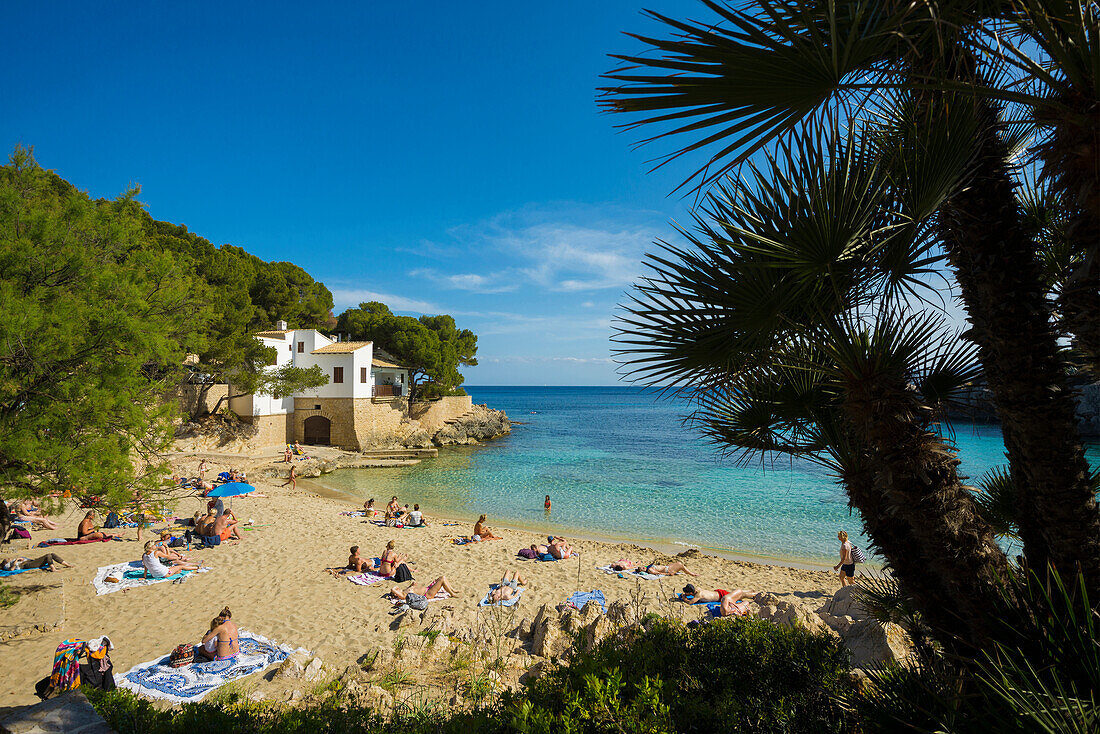 Strand, Cala Gat, Cala Rajada, Mallorca, Balearen, Spanien