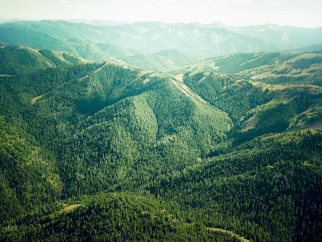 A pine covered mountains cape near the Grand Tetons in Idaho.