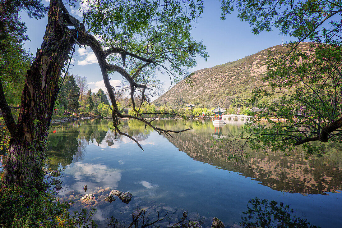 Tranquil Heilongtan Lake scene with trees in Jade Spring Park.