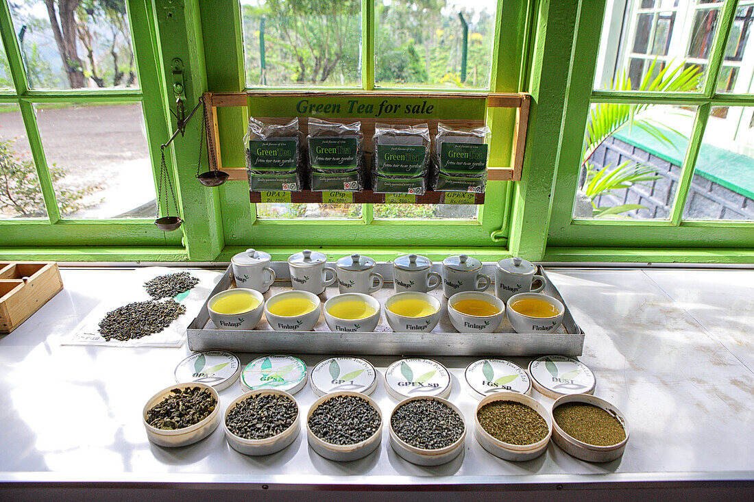 Different types of tea displayed on a tea plantation in southern Sri Lanka