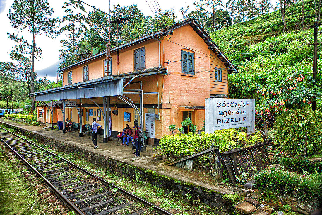 Rozelle Train Station.  Sri Lanka, Central Province, the popular scenic train ride through the tea growing hill country