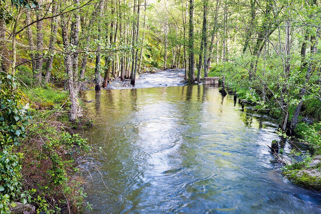 Iruelas river in the Sierra de Gredos Avila Castilla Leon Spain Europe