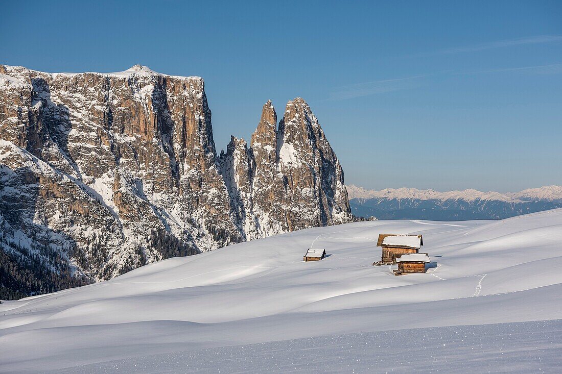 Alpe di Siusi Seiser Alm, Dolomites, South Tyrol, Italy Winter landscape on the Alpe di Siusi Seiser Alm with the peaks of Sciliar   Schlern, Euringer and Santner