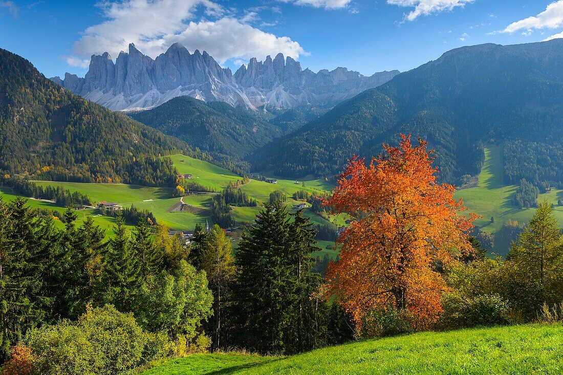 Val di Funes, Puez Olde Natural park, Trentino Alto Adige, Dolomites, Alps, Italy