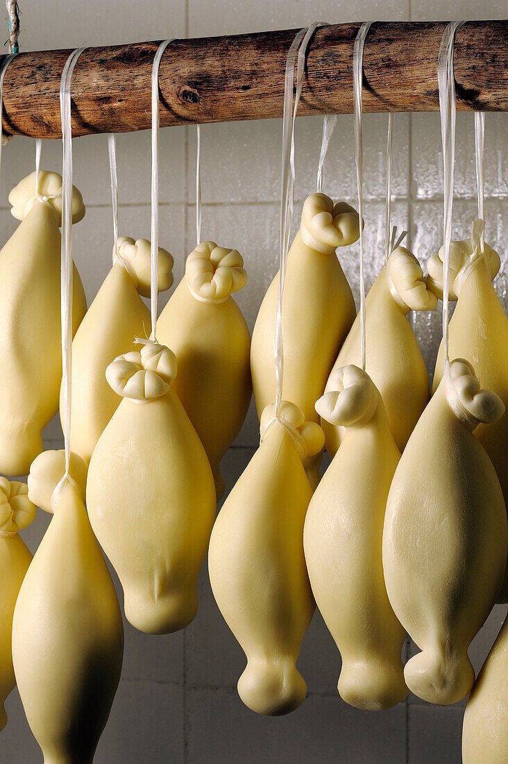 Caciocavallo von CiminÃ, CiminÃ, Bezirk von Reggio Calabria, Aspromonte, Kalabrien, Italien, Europa.