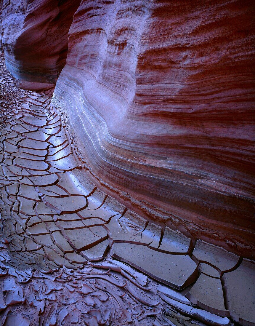 USA, Arizona-Utah border, Vermilion Cliffs National Monument, Sandstone displays details from erosion above dried, cracked mud in Buckskin Gulch