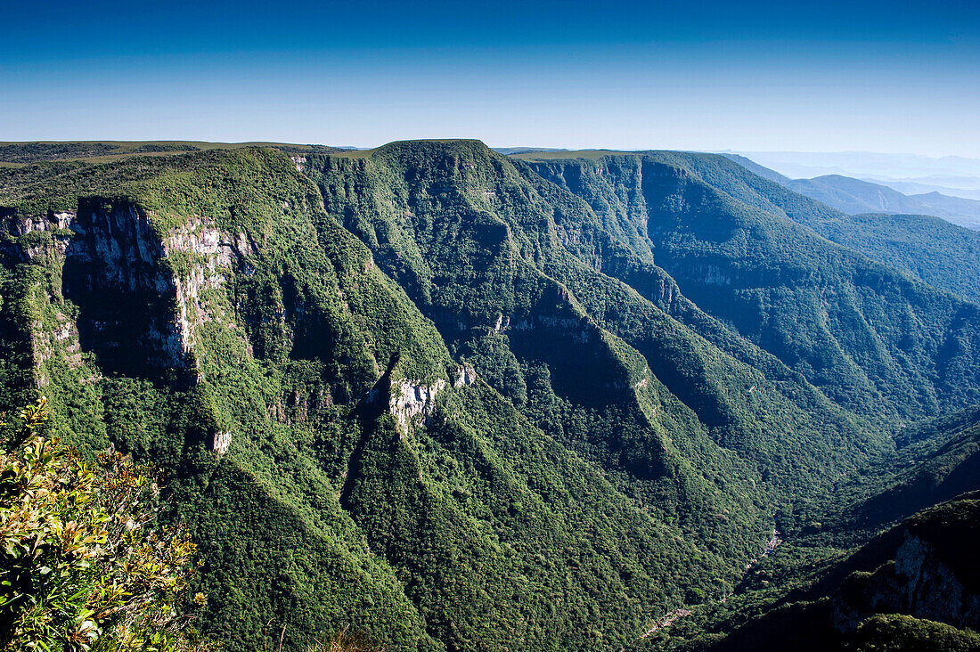 National Park of Aparados da Serra Rio Grande do Sul - Brazil