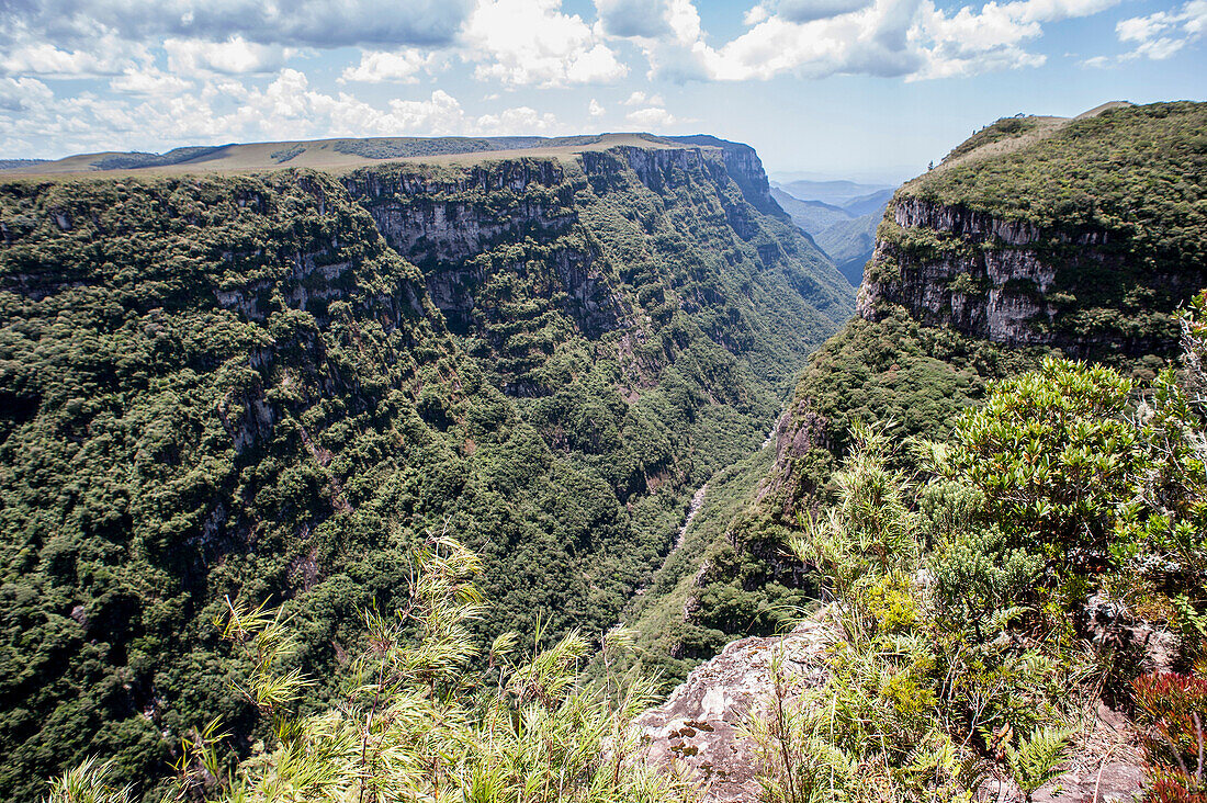 National Park of Aparados da Serra Rio Grande do Sul - Brazil