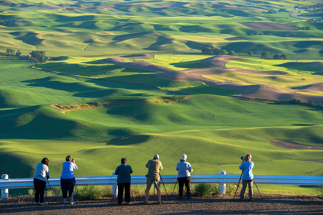 People photographing fields from Steptoe Butte State Park in Whitman County in the Palouse near Pullman, Washington State, USA.
