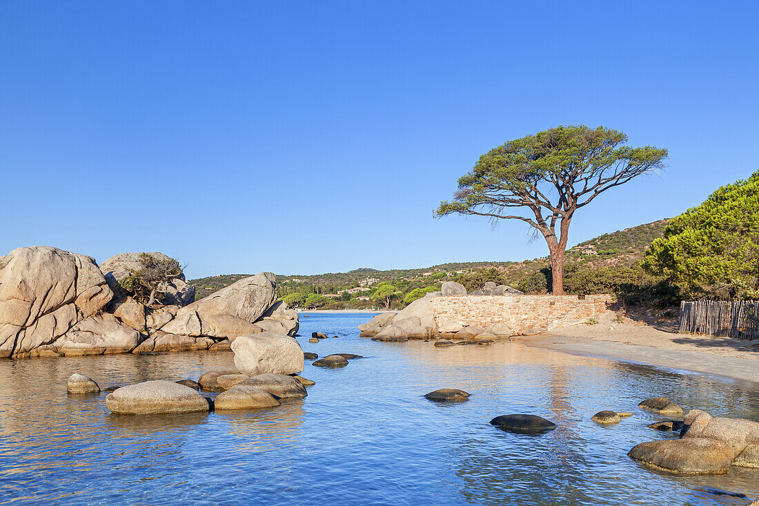 Punta di Colombara between the beaches Plage de Palombaggia and Plage de Tamaricciu, Porto-Vecchio, South Corsica, Corsica, Southern France, France, Southern Europe, Europe