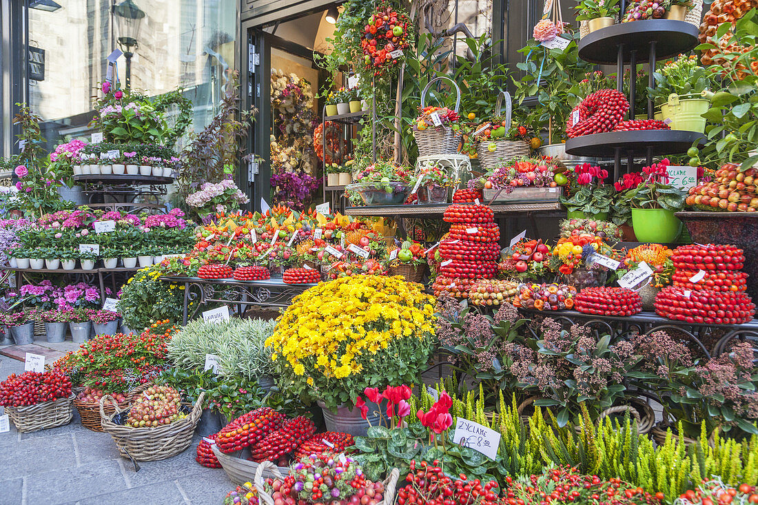 Flower shop at St Stephen's Square in the historic old town in Vienna, Eastern Austria, Austria, Europe
