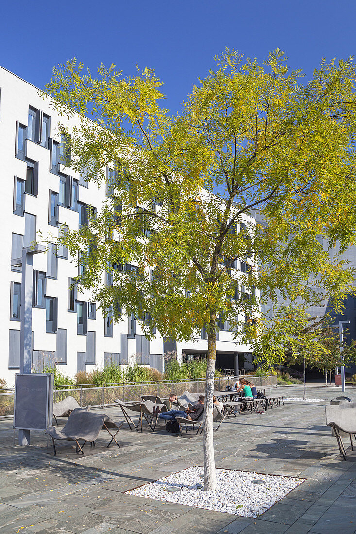 Campus WU of the Vienna's University of Economics and Business Administration, Vienna, Eastern Austria, Austria, Europe