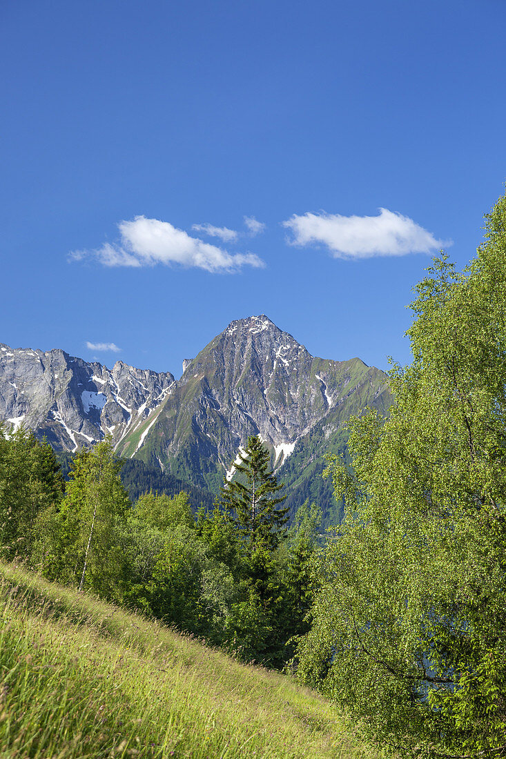 Tristner mountain in the Zillertal Alps, Mayrhofen, Tirol, Austria, Europe