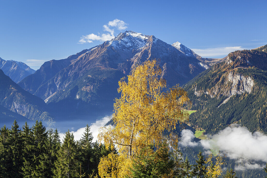 Grinbergspitzen im Tuxer Kamm in den Zillertaler Alpen und Penken in den Tuxer Alpen, Mayrhofen, Tirol, Österreich, Europa